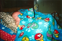 Click for large image