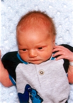 Click for large image