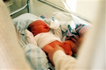 Click for large image