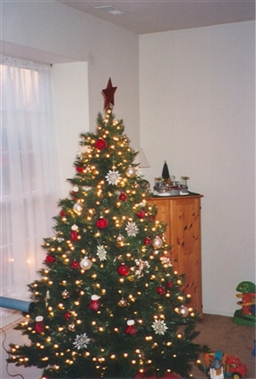 Click for large image