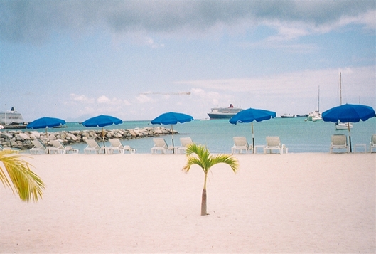 Click for large image