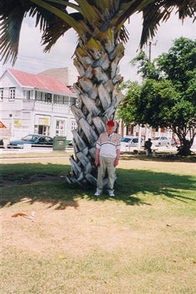 Click for large image