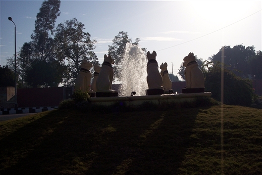 Click for large image