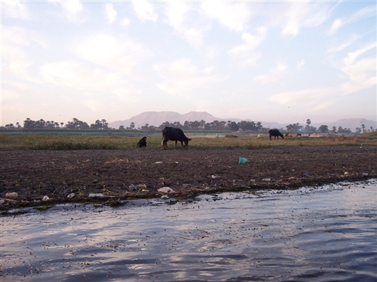 Click for large image