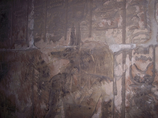 Click for large image