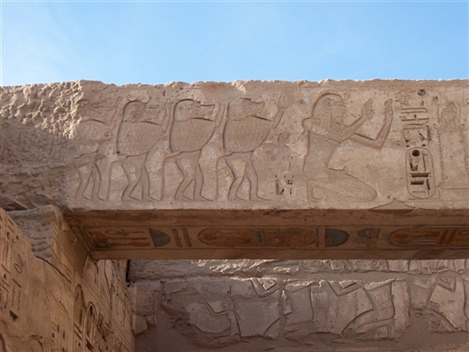 Click for large image