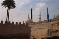 Click for large image