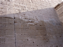 Click for large image