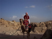 Click for large image