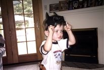 Click for large image