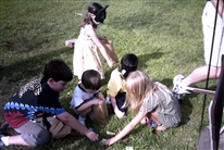 Click for large image