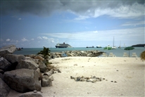 Click for large image