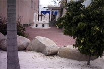 Click for large image