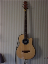 Click for large image