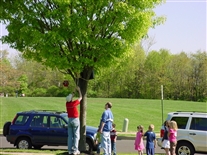 Click for large image