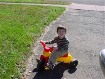 Click for large image