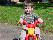 Click for large image