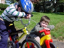 Click for large image