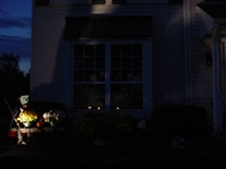 Click for large image