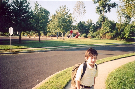 Click for large image