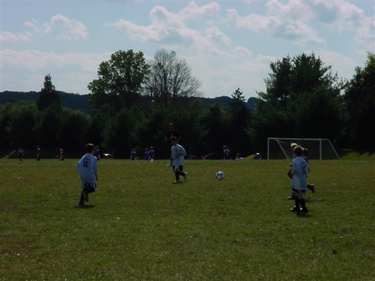 Click for large image