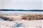2007-0126-02.jpg