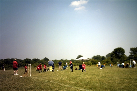 Click for large image