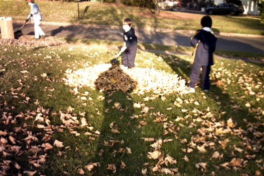 Click for large image