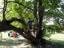 Click for large image