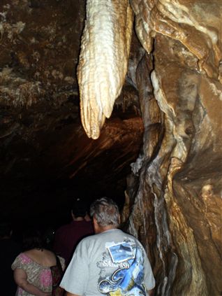 Click for large image