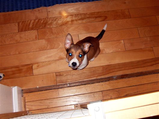 Click for large image