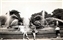 1944-0013-01.jpg