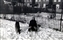 1945-0003-01.jpg