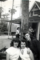 Click for large image
