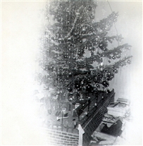Click for large image