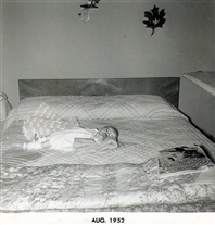 Click for large image