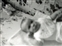 1957-0009-01.jpg