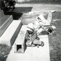 Click for large image
