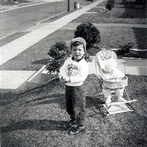 Click for large image