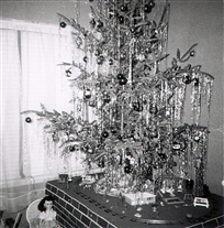 Click for large image