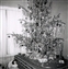 1961-0014-01.jpg