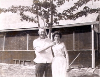 Click for large image