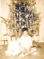 Click for large image